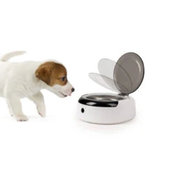 CAMP4 Gamelle Avec Détecteur De Présence 7 CAMP4 Gamelle Avec Détecteur De Présence -Camping En Plein Air camp4 gamelle pour chien avec detecteur de presence 2