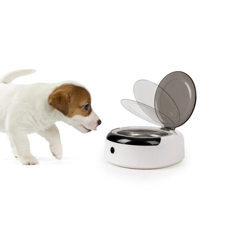 CAMP4 Gamelle Avec Détecteur De Présence 5 CAMP4 Gamelle Avec Détecteur De Présence – Image 3