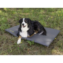 CAMP4 Matelas Pour Chien T5-T6 California -Camping En Plein Air camp4 matelas pour chien t5 t6 california 1