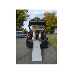 CAMP4 Rampe Emma Pour Chien -Camping En Plein Air camp4 rampe emma pour chien 1