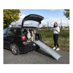 CAMP4 Rampe Emma Pour Chien -Camping En Plein Air camp4 rampe emma pour chien 3