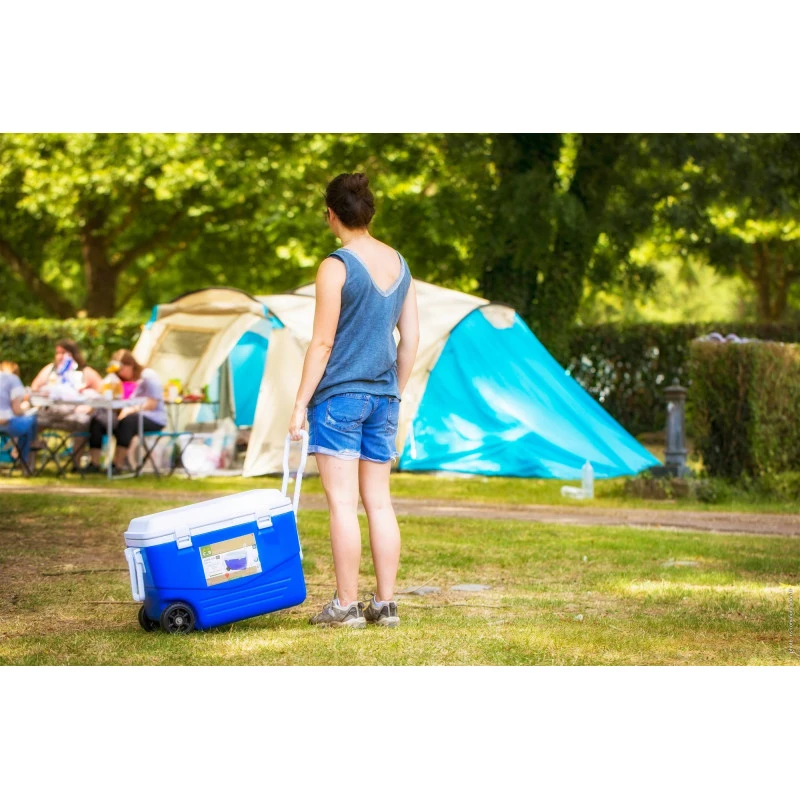 CAO Glacière Rigide à Roulettes 8 CAO Glacière Rigide à Roulettes – Image 6