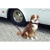LINNEPE Dog-Sitter 1 LINNEPE Dog-Sitter -Camping En Plein Air linnepe dog sitter