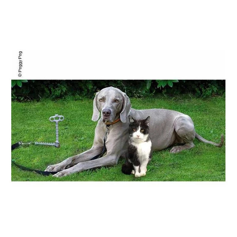 PEGGY PEG PetPeg 4 PEGGY PEG PetPeg – Image 2